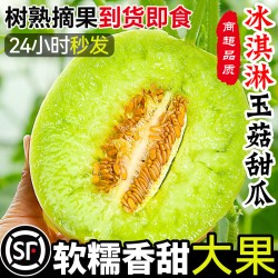 果天赐 现摘冰淇淋玉菇甜瓜9斤新鲜水果当季整箱小香瓜蜜瓜羊角脆哈5密瓜