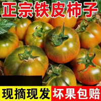 京喜湘临 丹东草莓柿子番茄4斤精品净重3.8斤