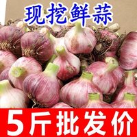 果玥 河南杞县鲜紫皮大蒜 10斤