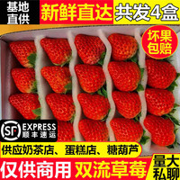 菓鲜莓 中国大陆 红颜草莓 2盒28颗粒 小果共56颗 单果5-9g