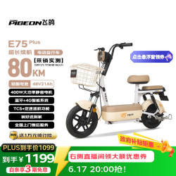 飞鸽电动自行车 E75Plus新国标电动车2026款长续航80KM铅酸电池48V21Ah用电瓶车可上牌漫步白