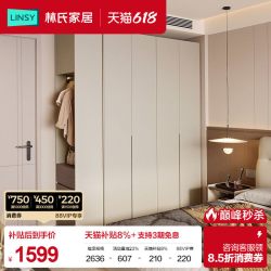 林氏木业 Lin's 林氏家居 皓月 RD1D-A 衣柜 0.58*2.40m 灰色