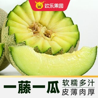 Joy Tree 欢乐果园 玫珑网纹蜜瓜