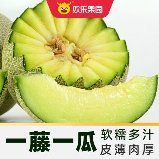 Joy Tree 欢乐果园 玫珑网纹蜜瓜