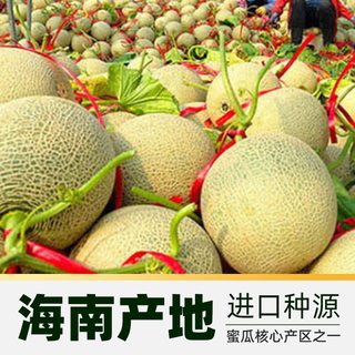 Joy Tree 欢乐果园 玫珑网纹蜜瓜