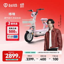 台铃 哆咪 新国标电动自行车 长续航 48V24Ah 1.75m车长 成人代步车