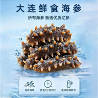 密北 即食海参 大连辽参 500g 7-9只