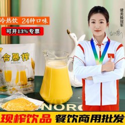 合暴榨 水饮冲调果汁 290g
