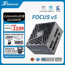 海韵 1000W 双色线材白金认证 电脑电源｜A级声学认证｜ATX 3.1｜CQC3级｜支持5090显卡