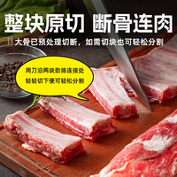 龙大 黑猪整肋排 原切 3斤 猪肉