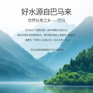 西奥图 巴马长寿之乡天然矿泉水 398ml*12瓶