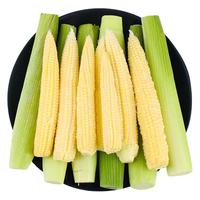 福月安 甜玉米笋 新鲜迷你嫩玉米棒 9斤