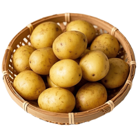 京地达 山东黄皮黄心土豆 5斤 新鲜蔬菜