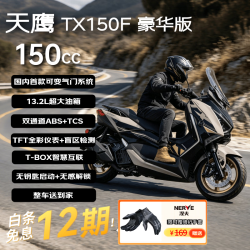 天鹰 TX150F豪华版 250cc燃油踏板摩托车 雅灰