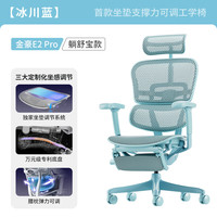 Ergonor/保友办公家具 金豪E2 Pro 冰川蓝 人体工学椅