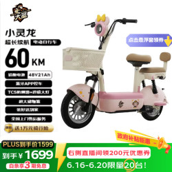 雅迪 大圣 TDT1589Z 电动自行车