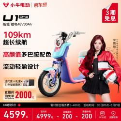 小牛电动 U1 one 电动自行车 48V30Ah锂电