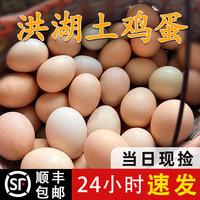 罗春燕 湖北洪湖土鸡蛋 20枚