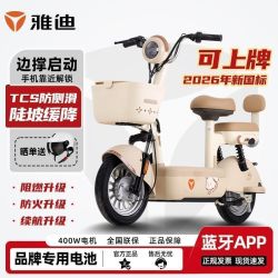 雅迪 C09-G 电动自行车 成人女士车 北斗定位 全国上牌