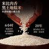吴越斋 清水粽