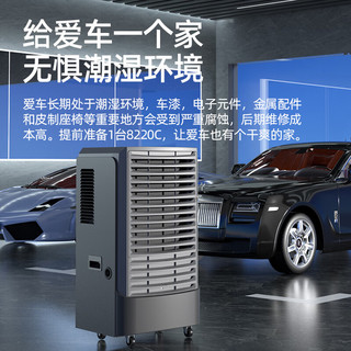 Deye/德业 DY-8220C 220L/天 大功率除湿机