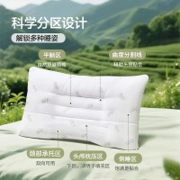 富安娜 决明子抗菌防螨枕头 学生枕一对装