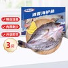 国联 酒香海鲈鱼 新鲜冷冻 海鲜水产