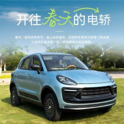 迅驰通达 新款 经济款 油电两用 全封闭 电动汽车