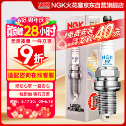 NGK 火花塞铂金四支装日产天籁公爵逍客轩逸阳光颐达