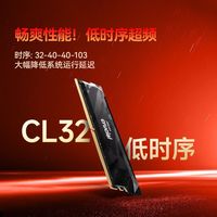 Crucial/英睿达 DDR5 6400MT/s CL32 美光颗粒台式机内存条