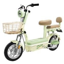 五星钻豹 A43电动自行车 新国标 长续航48V22AH