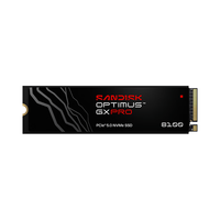 闪迪 Sandisk Optimus GX PRO 8100 M.2 2TB 固态硬盘