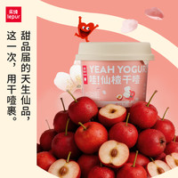 乐纯 冷萃希腊酸奶 6杯装