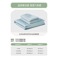 水星家纺集团百丽丝 凉席冰丝席A类可水洗易打理夏凉席子 床笠款【A类+凉感+可水洗】冰玉丝 150cm×200cm(三件套)