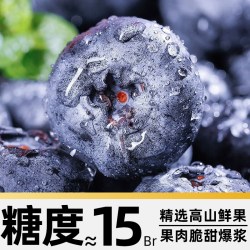 寻天果蔬 云南高山花香蓝莓 特大果