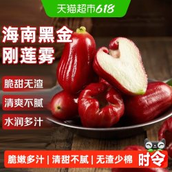 寻天果蔬 海南黑金刚莲雾 新鲜水果