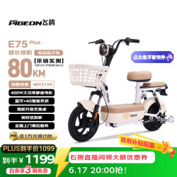 飞鸽 E75 Plus 新国标电动自行车 48V21Ah