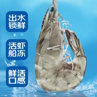 海仙部落 厄瓜多尔白虾 盐冻南美白对虾