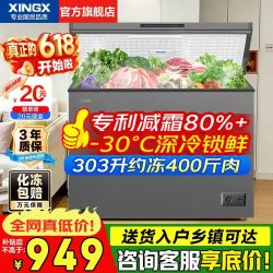 星星 BD/BC-300KE 冰柜 303L