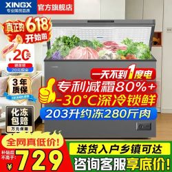 星星 无霜速冻 商用冰柜  203L