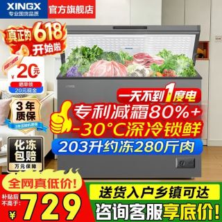 星星 无霜速冻 商用冰柜  203L