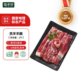 臻羊鲜 宁夏盐池滩羊羊腩 500g 简装 羊肉