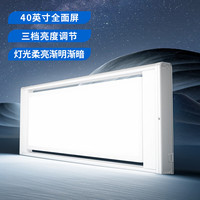 邦先生 M22升级款 智能自动升降伸缩双杆晾衣架 带照明隐藏式