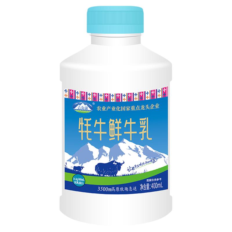 青海湖 高原牧场牦牛鲜牛奶