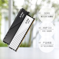 ADATA威刚 XPG威龙D300 DDR5 6000台式机内存条