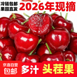 山东大樱桃大樱桃新鲜红灯樱桃盒装当季新鲜水果车厘子 4斤(净重) (净重) 尝鲜脆甜可口 狠甜