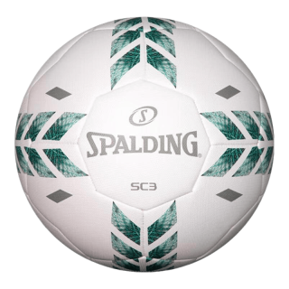 斯伯丁 SPALDING 5号PU标准足球