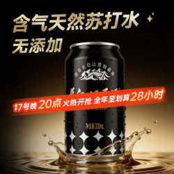 长白山天源 气泡水 天然苏打水