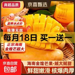 正宗金煌芒水仙芒果甜心芒金煌芒5斤净重4.5斤 大果 500-800克/单个