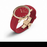 Daniel Wellington 女士腕表 DW00100533 32mm